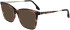Victoria Beckham VB2647 sunglasses in Dark Brown Horn