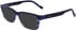 Zeiss ZS23534 sunglasses in Striped Blue