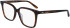 CALVIN KLEIN CK22540-51 glasses in Dark Tortoise