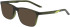 NIKE 5543 glasses in Matte Sequoia