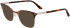 CALVIN KLEIN CK21124-49 glasses in Brown Havana