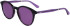 Calvin Klein CK23510S sunglasses in Purple Havana