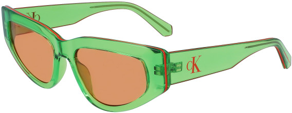 Calvin Klein Jeans CKJ23603Sf sunglasses in Green