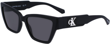 Calvin Klein Jeans CKJ23624S sunglasses in Matte Black