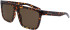Dragon DR TEMPEST LL sunglasses in Shiny Tortoise/Brown