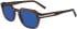 Salvatore Ferragamo SF1089S sunglasses in Transparent Smoke Brown