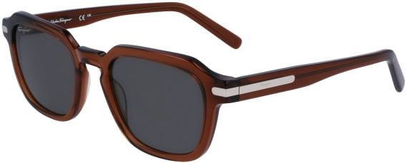 Salvatore Ferragamo SF1089S sunglasses in Transparent Brown