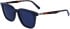 Salvatore Ferragamo SF1100S sunglasses in Blue Navy