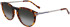 Zeiss ZS23713S sunglasses in Tortoise