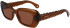 Lanvin LNV646S sunglasses in Caramel