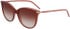 Longchamp LO727S sunglasses in Brown/Rose