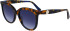 Longchamp LO731S sunglasses in Havana Blue
