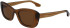 Victoria Beckham VB657S sunglasses in Caramel