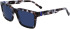 Zeiss ZS23527S sunglasses in Brown Grey Tortoise