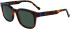 Zeiss ZS23528S sunglasses in Tortoise