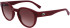 Lacoste L6000S sunglasses in Dark Red
