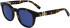 Lacoste L6006S sunglasses in Dark Havana