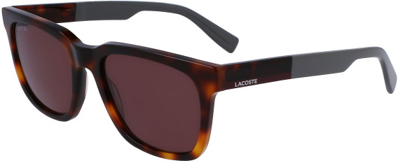 Lacoste L996S sunglasses in Havana