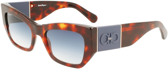 Salvatore Ferragamo SF1059S sunglasses in Red Tortoise