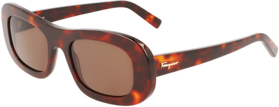 Ferragamo SF1046S sunglasses in Red Tortoise