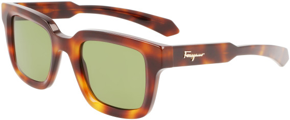 Salvatore Ferragamo SF1064S sunglasses in Tortoise