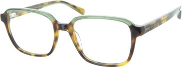 TB8260 Glasses in Brown/Green