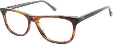 TB8262 Glasses in Brown Horn
