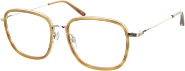 TB8267 Glasses in Honey/Gold