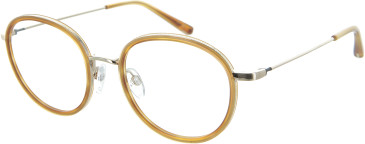 TB8268 Glasses in Honey/Gold