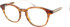TB8269 Glasses in Light Tortoiseshell