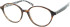 TB9227 Glasses in Tortoiseshell