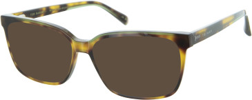 TB8261 Sunglasses in Tortoiseshell