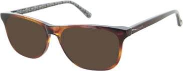 TB8262 Sunglasses in Brown Horn