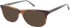 TB8262 Sunglasses in Brown Horn