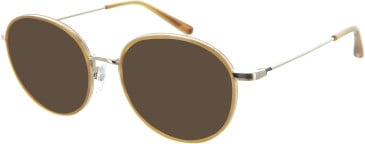 TB8268 Sunglasses in Honey/Gold