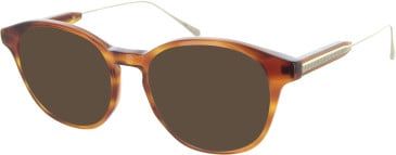TB8269 Sunglasses in Light Tortoiseshell