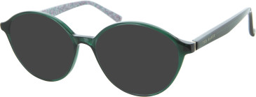 TB9227 Sunglasses in Crystal Dark Green