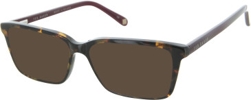 TBB958 Sunglasses in Tortoiseshell