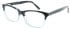 Lipsy 41 glasses in Blue Tortoise