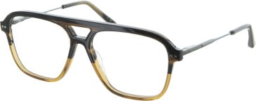 Ted Baker TB8259 glasses in Brown Horn