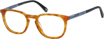 Botaniq BIO-1070 glasses in Tortoise