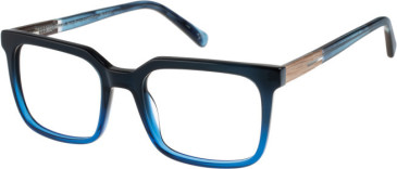 Botaniq BIO-1073 glasses in Blue
