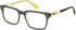 Superdry SDO-3010 glasses in Grey