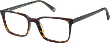 Botaniq BIO-1048 glasses in Tortoise
