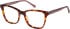 Radley RDO-6026 glasses in Purple Tortoise