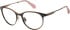 Superdry SDO-3014 glasses in Matt Black