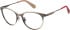 Superdry SDO-3014 glasses in Matt Nude
