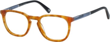 Botaniq BIO-1070 glasses in Tortoise
