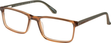 O'Neill ONO-4536 glasses in Gloss Brown Horn