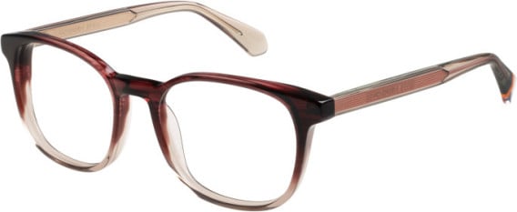 Superdry SDO-3012 glasses in Purple